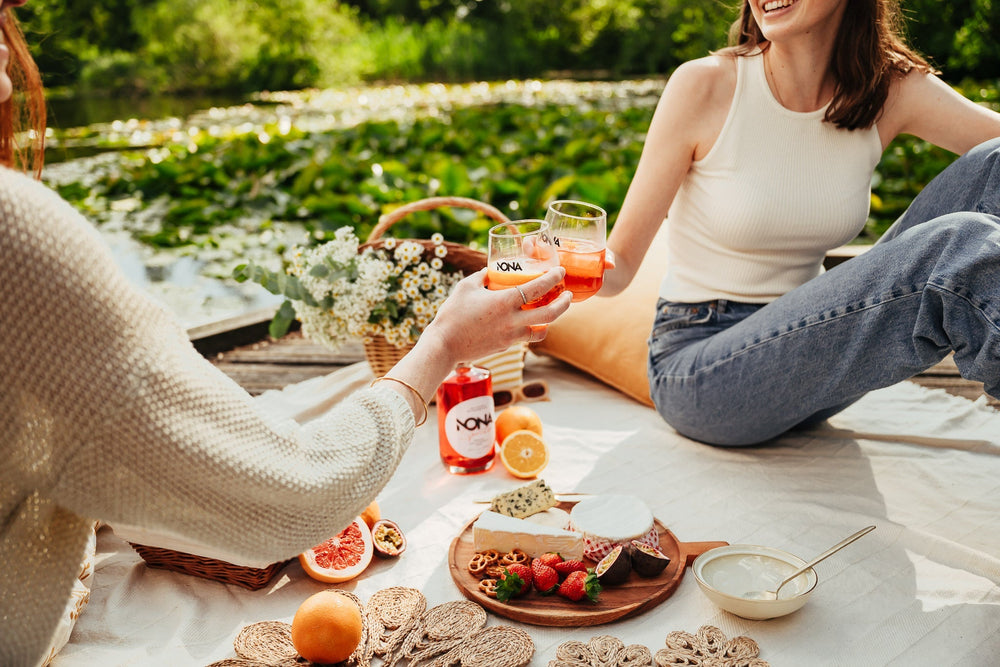 NONA Spritz vs JNPR SPRZ n°1: Which Non-Alcoholic Spritz Should You Choose?