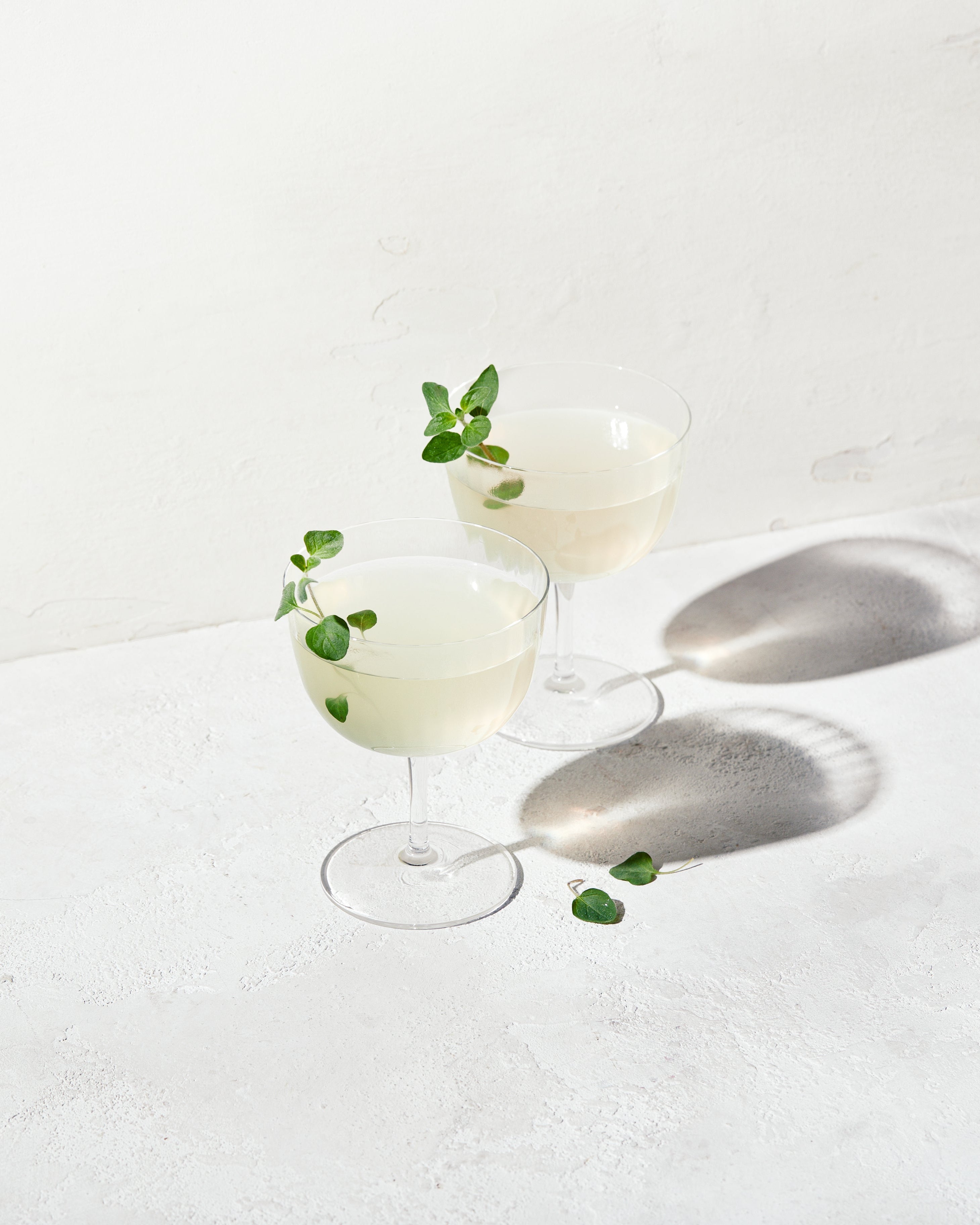 NONA Ginger Tea Oregano – NONA Drinks